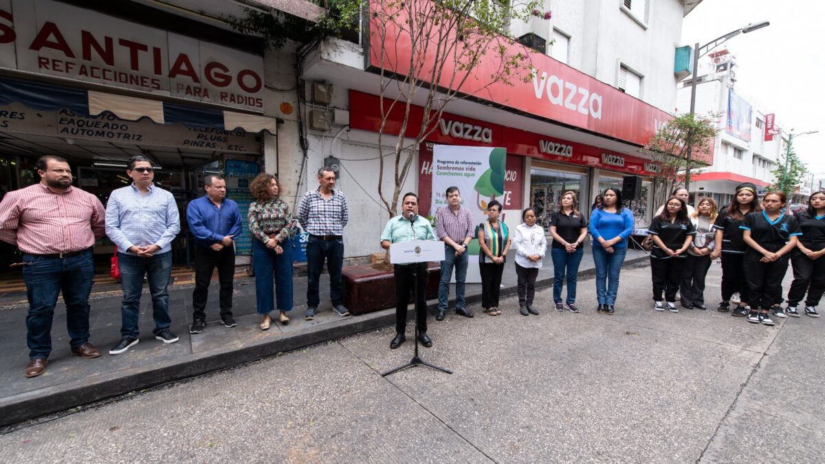 Inicia ayuntamiento de Córdoba reforestación en calles del centro de la ciudad