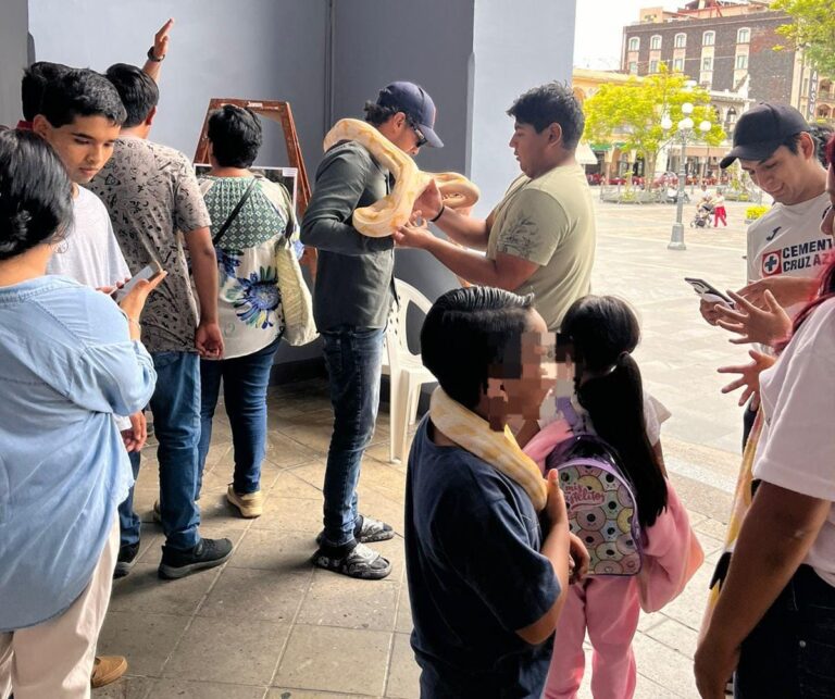 Concluye el Tercer Festival Mexicano de las Serpientes