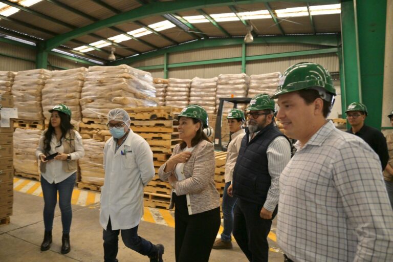 SE IMPULSARÁ A PRODUCTORES DE LECHE: ROCÍO NAHLE