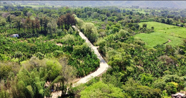 Un mejor acceso al panteón de Neira