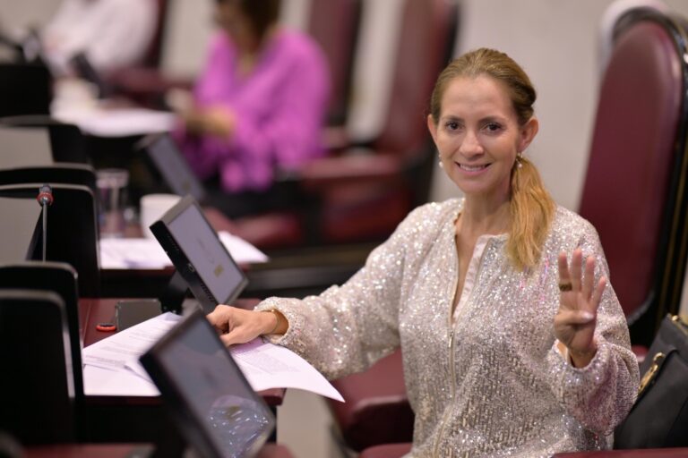 Buscan favorecer candidaturas para personas con discapacidad