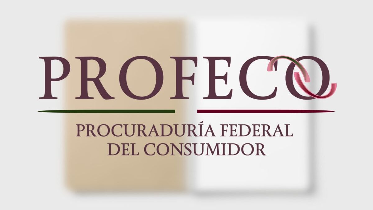 Estos cuadernos de hasta 24 pesos ofrecen la misma calidad que los de mayor precio