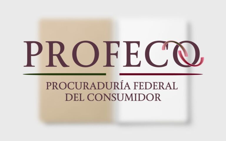 Estos cuadernos de hasta 24 pesos ofrecen la misma calidad que los de mayor precio