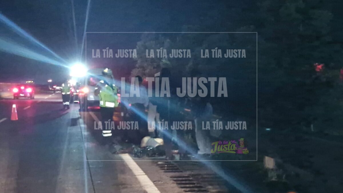 Muer3 atropellado sobre la autopista Córdoba- Veracruz