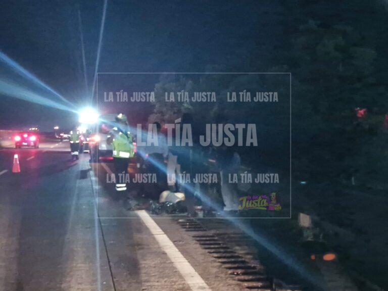 Muer3 atropellado sobre la autopista Córdoba- Veracruz