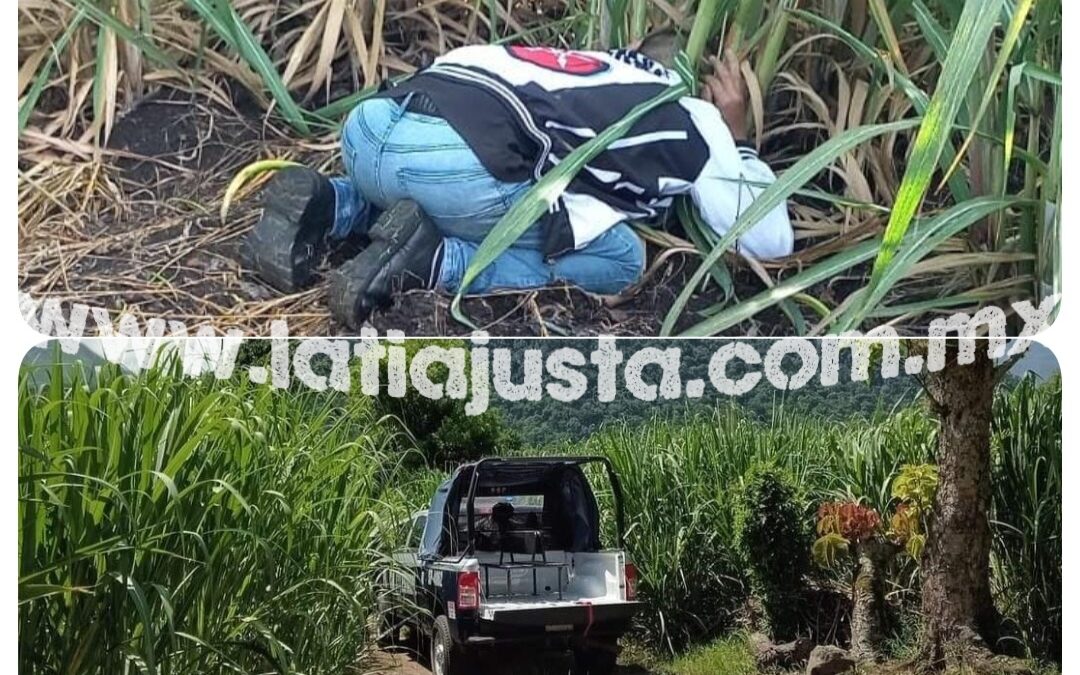 SIN IDENTIFICACIÓN EL EJ3CUTAD0 EN CAMINO A ZAPOAPAN, IXTACZOQUITLÁN.