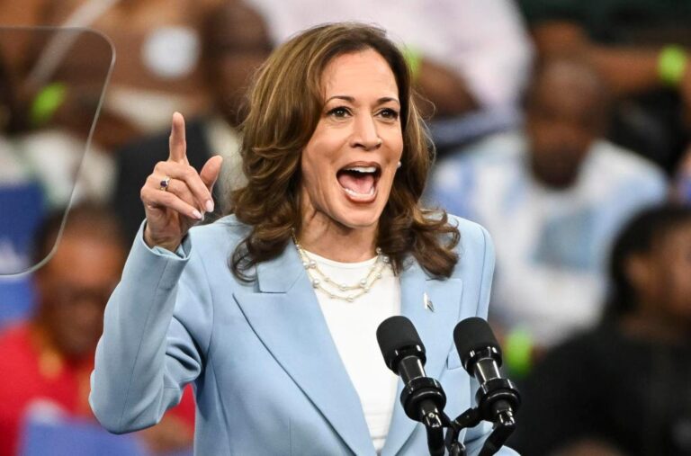 Kamala Harris consiguió los votos de los delegados demócratas para ser la candidata del partido a la Presidencia de EE.UU