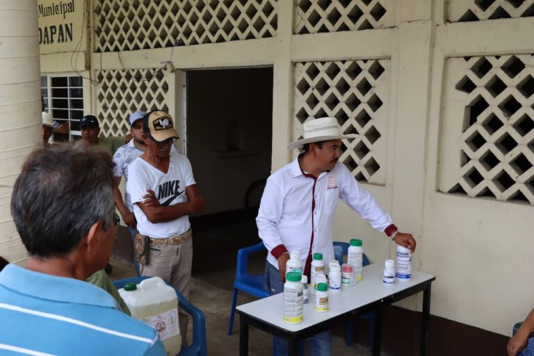 EN IXTACZOQUITLÁN, ATIENDEN PROBLEMÁTICA DE INFESTACIÓN DE FALSO GUSANO MEDIDOR