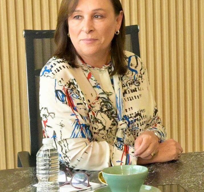REFORMAS DE AMLO, LA BASE PARA FORTALECER EL ESTADO MEXICANO EXPLICA ROCIO NAHLE A LOS VERACRUZANOS