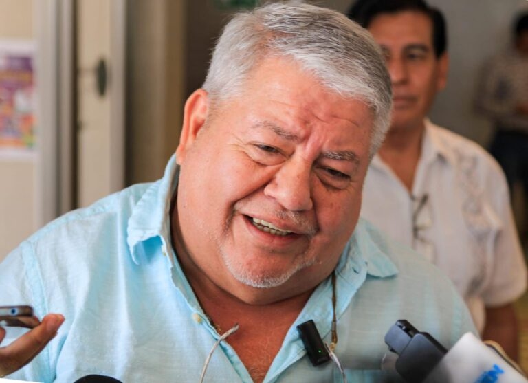No hay sobre representación de Morena en Cámaras, solo es mitote de la oposición: Manuel Huerta