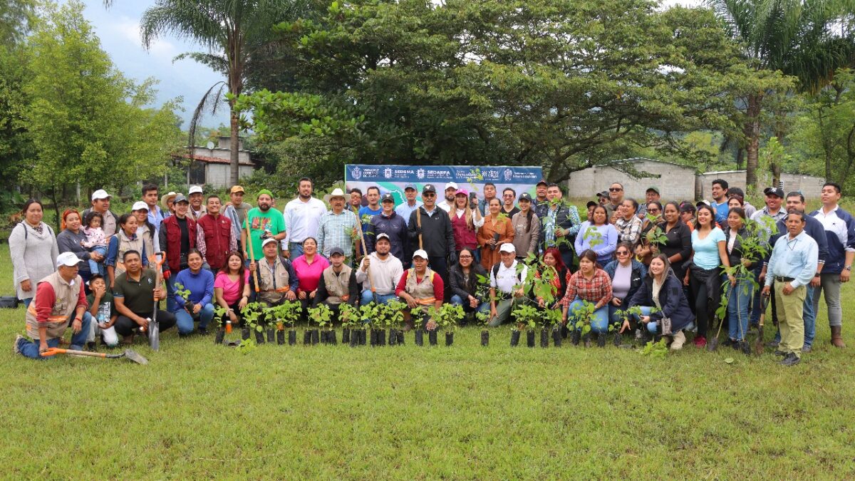 PARTICIPA IXTACZOQUUTLÁN EN JORNADA DE REFORESTACIÓN ESTATAL