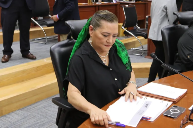 I NE comenzará con preparativos para elección de jueces, magistrados y ministros: Taddei