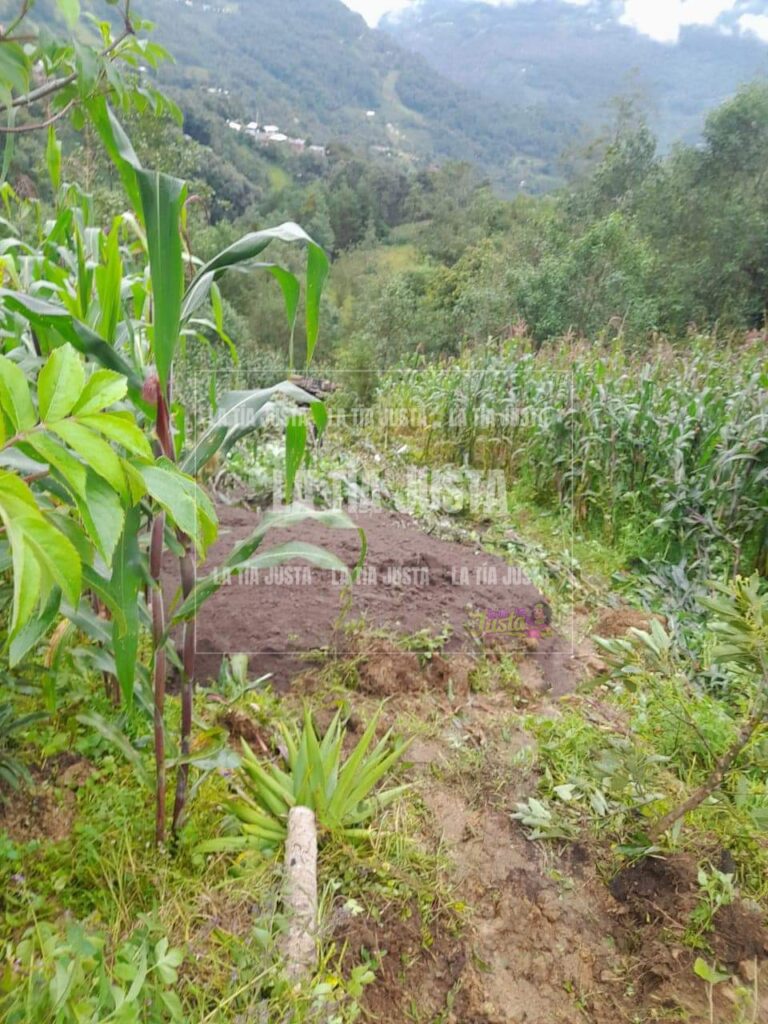 Muer€ operador de camión al caer a barranco