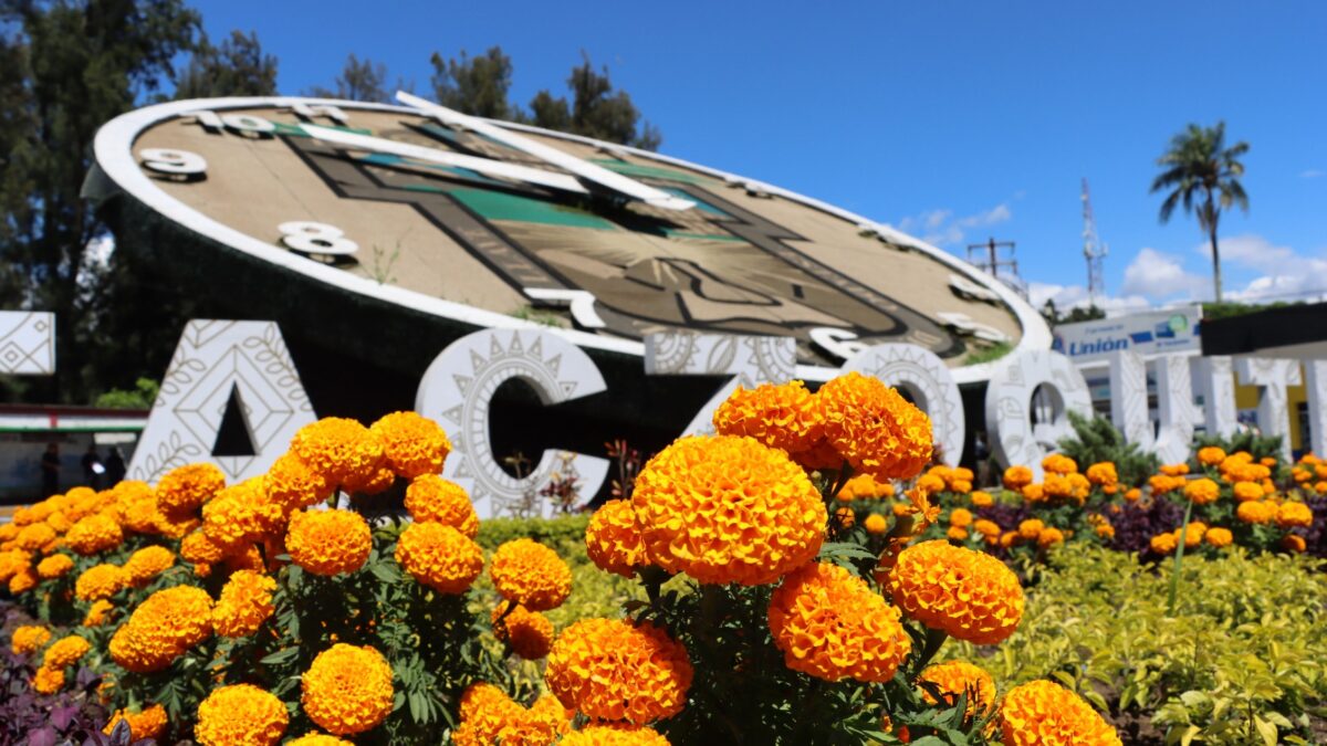 ADORNAN CON FLOR DE CEMPASÚCHIL JARDINERAS DE IXTACZOQUITLÁN POR DÍA DE TODOS SANTOS