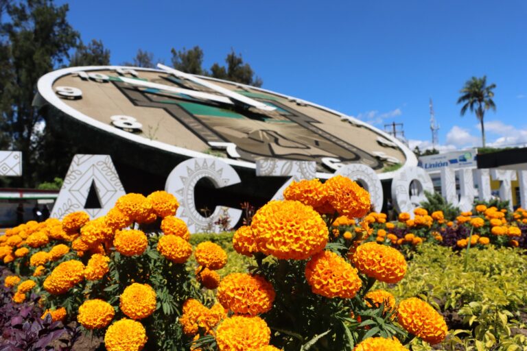 ADORNAN CON FLOR DE CEMPASÚCHIL JARDINERAS DE IXTACZOQUITLÁN POR DÍA DE TODOS SANTOS