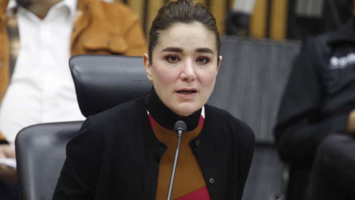 Consejera Dania Ravel se desmarca de comunicado del INE para retomar elección judicial