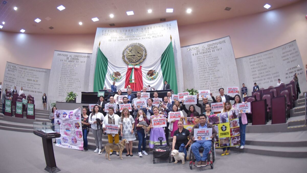 Avala Congreso de Veracruz reforma federal que protege a los animales