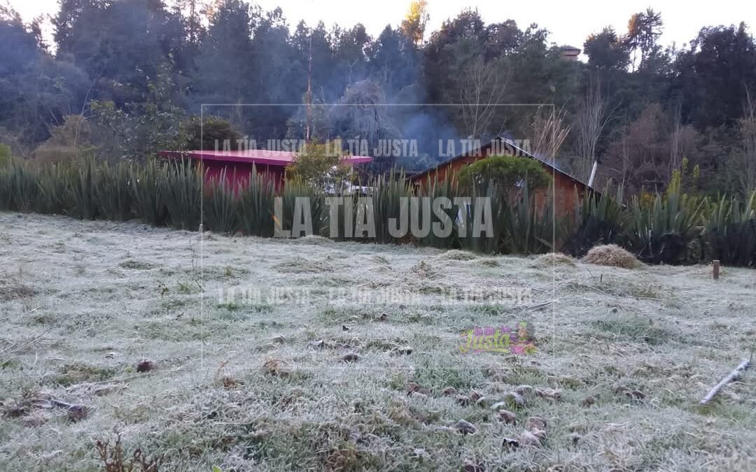 Registra Altas Montañas primera helada del año
