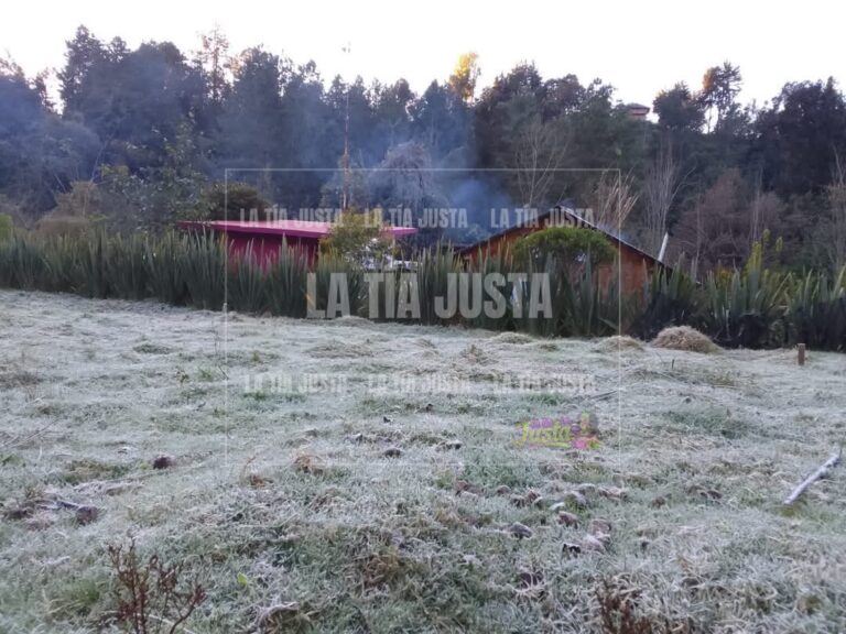 Registra Altas Montañas primera helada del año