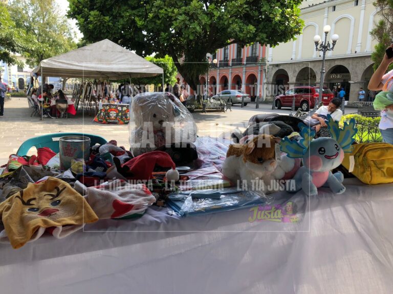 Padrinos con Causa realiza colecta y concurso perrorífico
