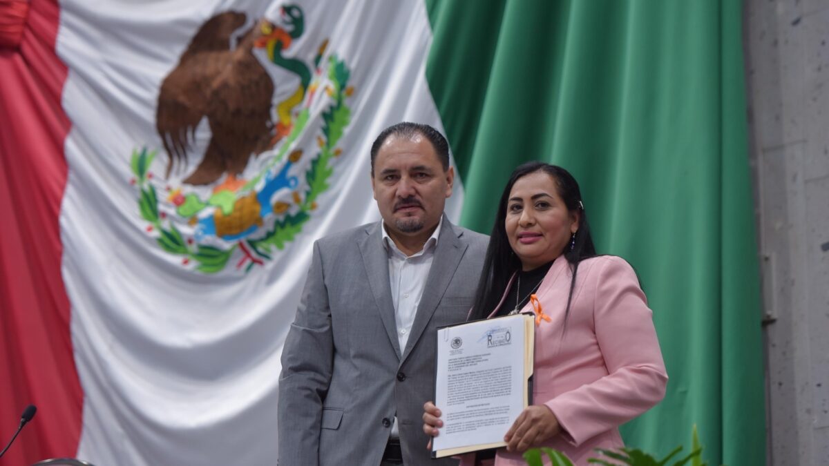 Garantizar derecho a la movilidad a personas con discapacidad, pide diputada