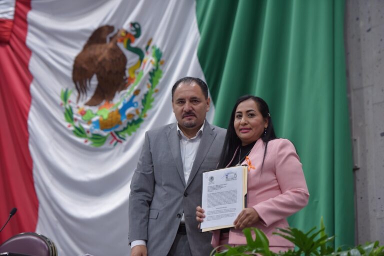 Garantizar derecho a la movilidad a personas con discapacidad, pide diputada