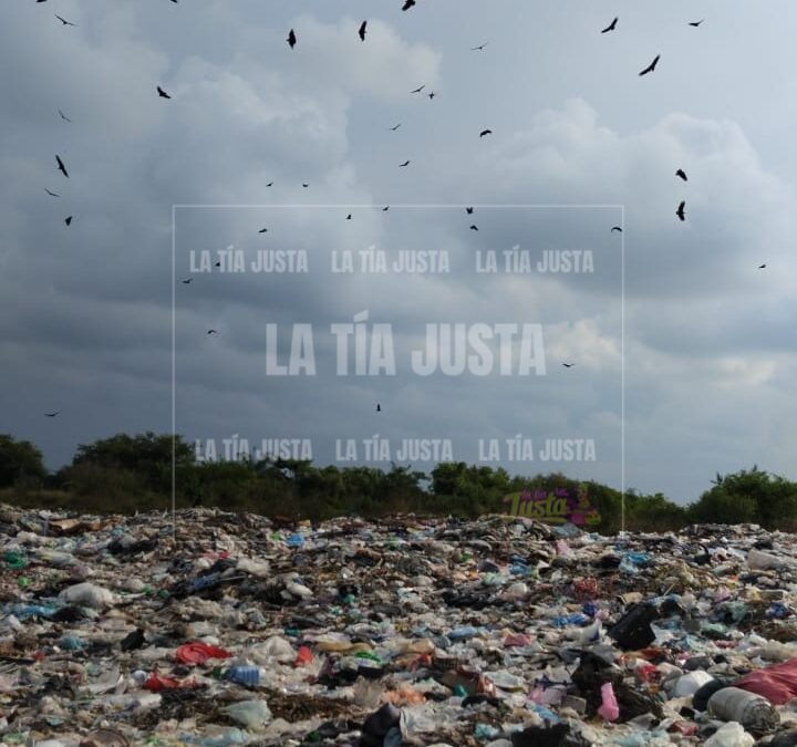 Acusan al ayuntamiento de Paso del Macho de contaminar predio particular