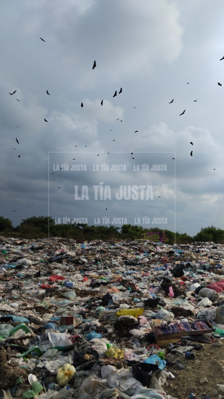 Acusan al ayuntamiento de Paso del Macho de contaminar predio particular