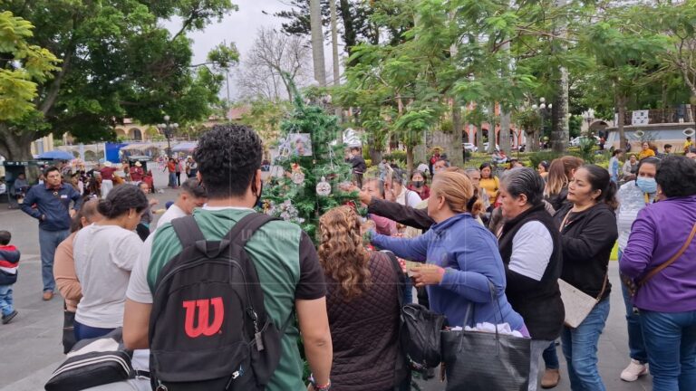Colocan Pino de Amor por Nuestros Desaparecidos