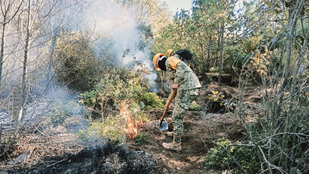 Ejército Mexicano aplica el Plan DN-III-E, en incendio forestal en Ejido Perote