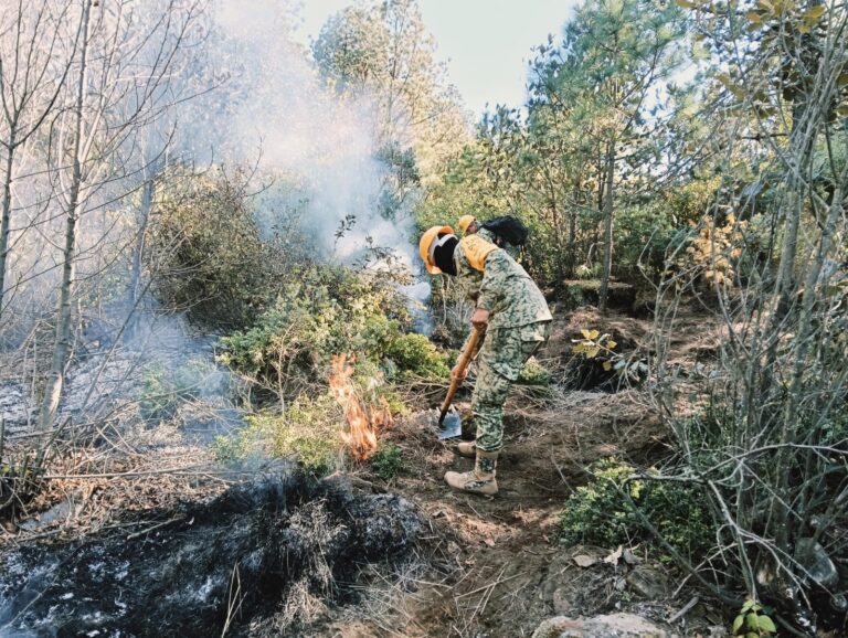Ejército Mexicano aplica el Plan DN-III-E, en incendio forestal en Ejido Perote