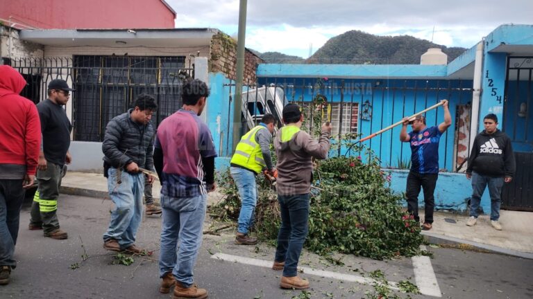 Surada deja daños menores en Orizaba