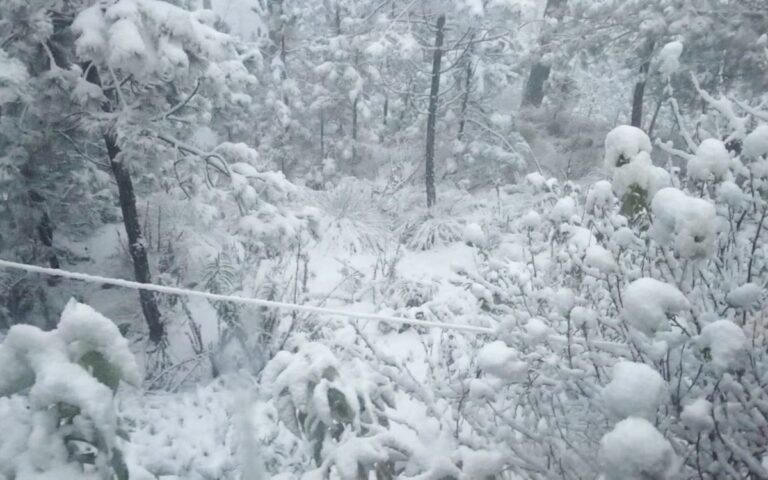 Pronostican caída de nieve o aguanieve en zonas altas de Veracruz, Puebla y Edomex