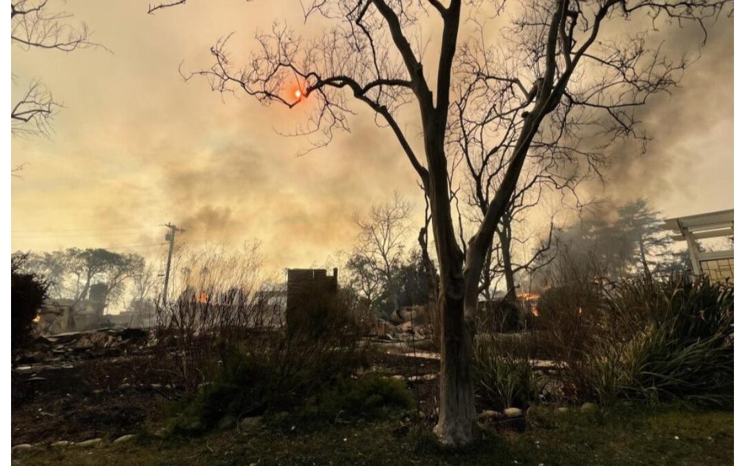 PRESIDENTA SHEINBAUM ENVÍA UN MENSAJE DE APOYO A CONNACIONALES POR INCENDIOS EN LOS ÁNGELES, CALIFORNIA.  