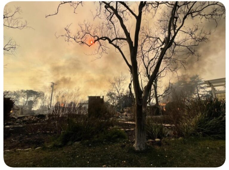 PRESIDENTA SHEINBAUM ENVÍA UN MENSAJE DE APOYO A CONNACIONALES POR INCENDIOS EN LOS ÁNGELES, CALIFORNIA.  