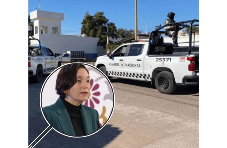 “LIGERA CONTENCIÓN” DE LA VIOLENCIA EN SINALOA EN DICIEMBRE: MARCELA FIGUEROA, SECRETARIA EJECUTIVA DEL SNSP.