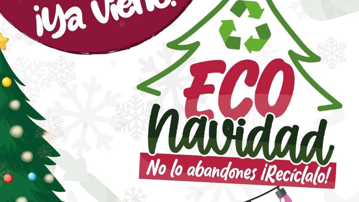 Veracruz promueve el reciclaje con la campaña Eco Navidad: ¡participa y cuida el ambiente!