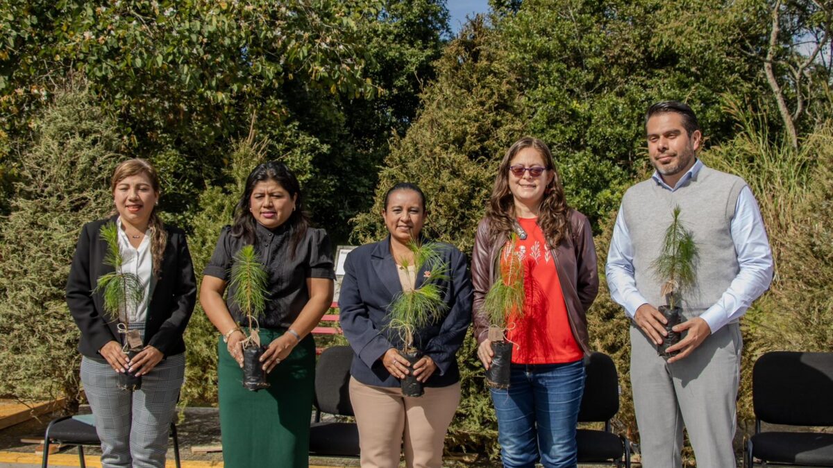 Eco Navidad buscará recolectar más de 12 mil árboles
