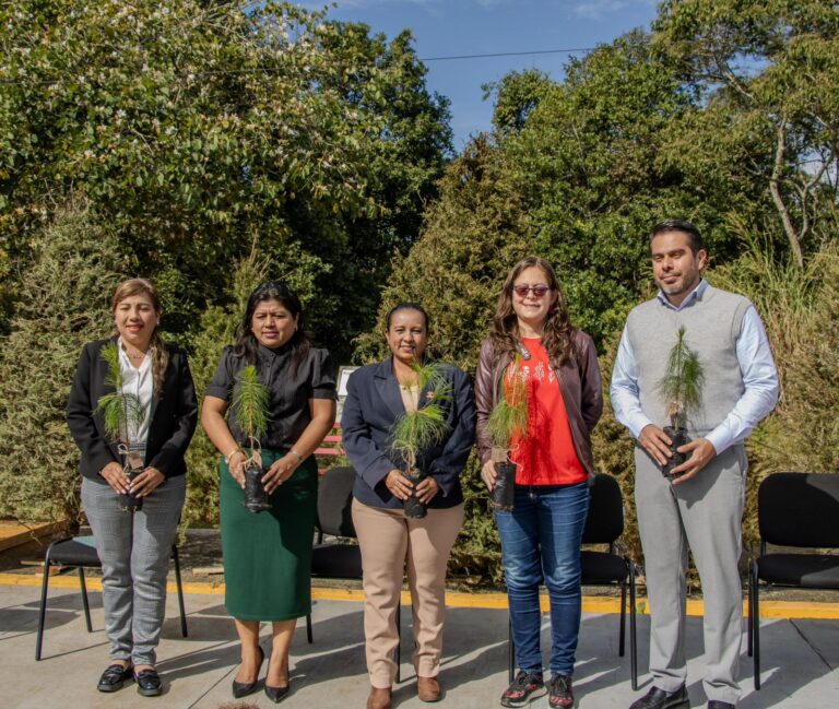 Eco Navidad buscará recolectar más de 12 mil árboles
