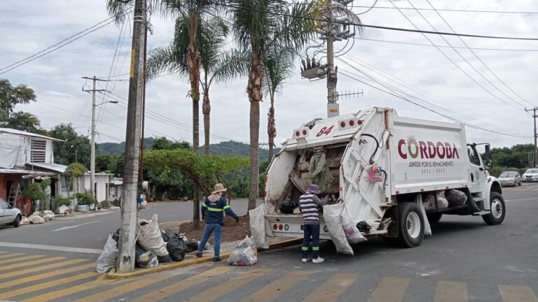 Proyecto Eco Renace, comprometidos con el medio ambiente; comenzará en febrero