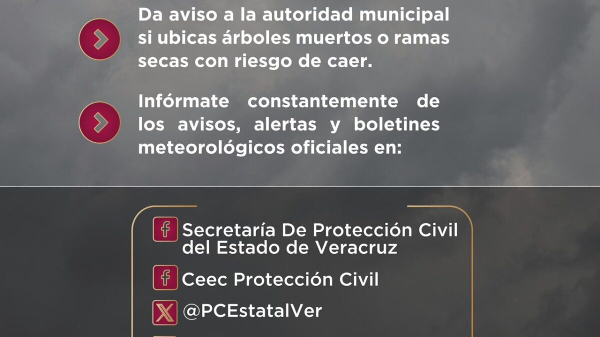 Frente Frío 24 provocará condiciones de heladas en zonas altas