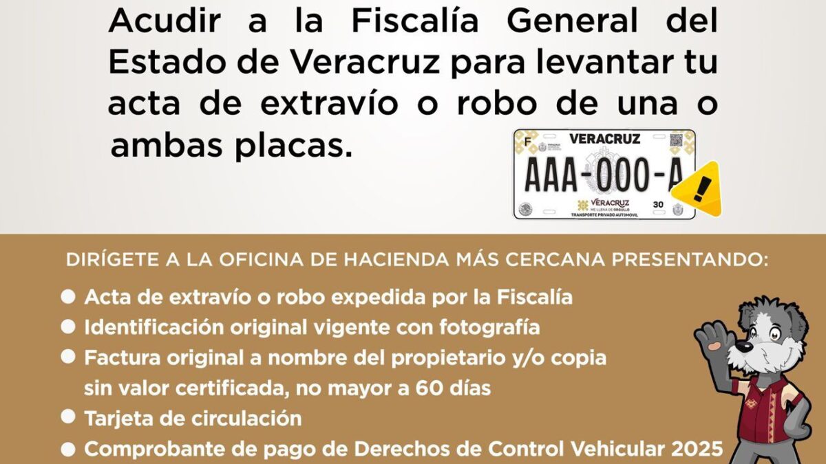 ¿Extraviaste o te robaron tus placas? Sefiplan te guía paso a paso