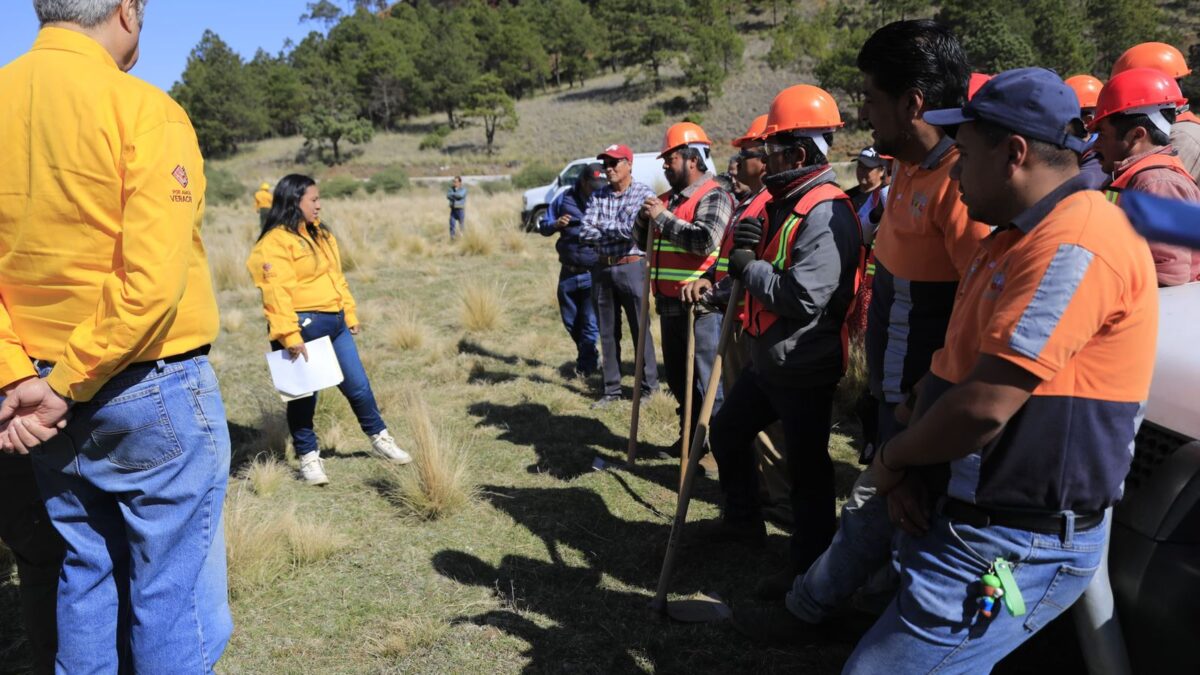 Coordinación estatal y participación ciudadana para prevenir y combatir incendios forestales