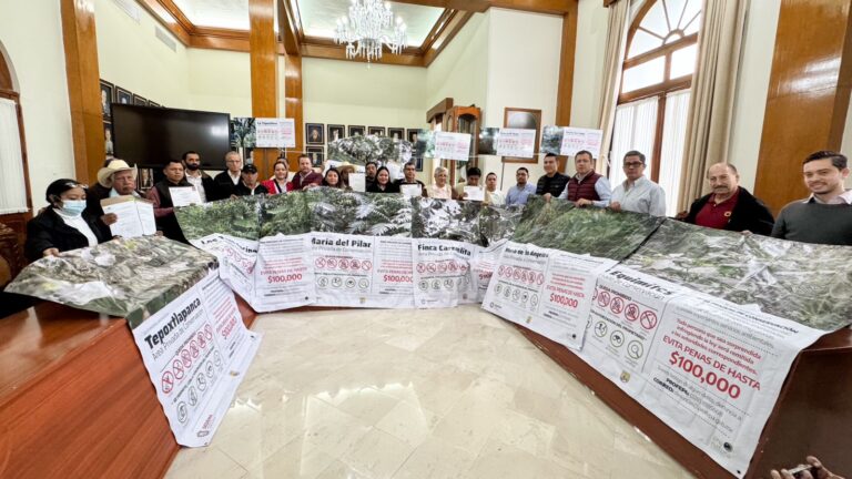 Entregan certificados por parte de la Secretaría de Medio Ambiente a cafeticultores