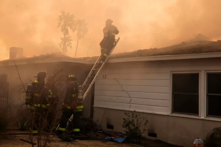 México enviará elementos de Defensa, Conafor y CNPC para ayudar a combatir incendios en Los Ángeles