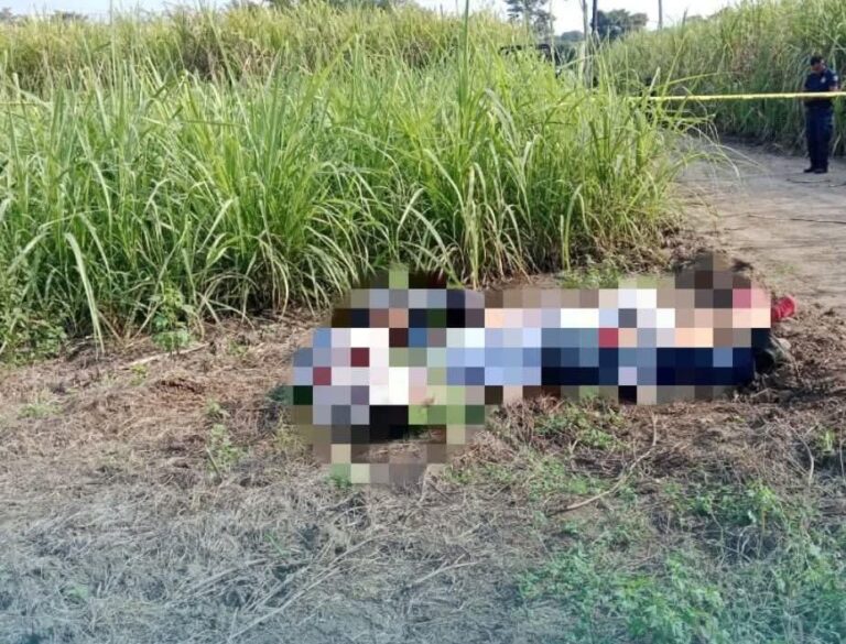 FUERTE DESPLIEGUE POLICIACO POR LA APARICIÓN DE CUATRO PERSONAS 3J3CUTADAS Y MANIATADAS.