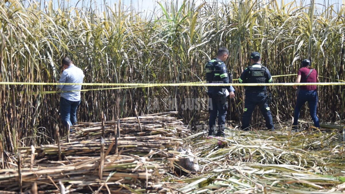 Hallan osamenta en localidad San Matías Los Mangos