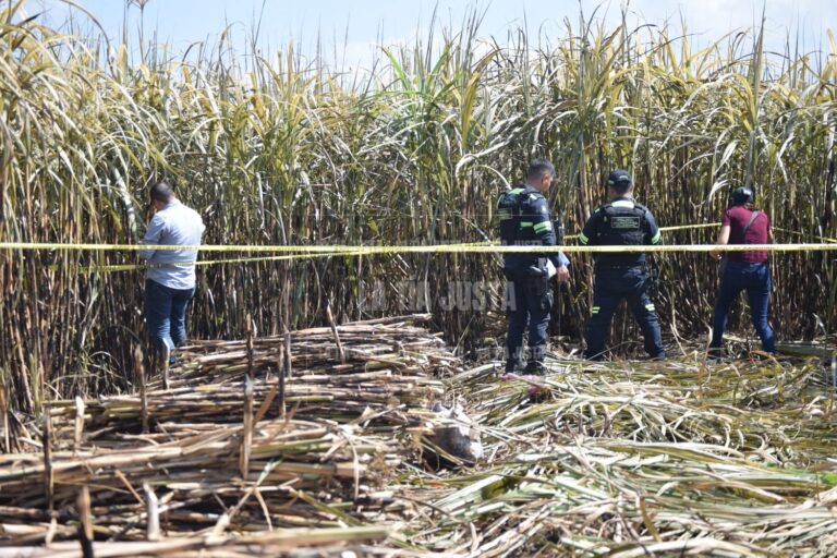 Hallan osamenta en localidad San Matías Los Mangos
