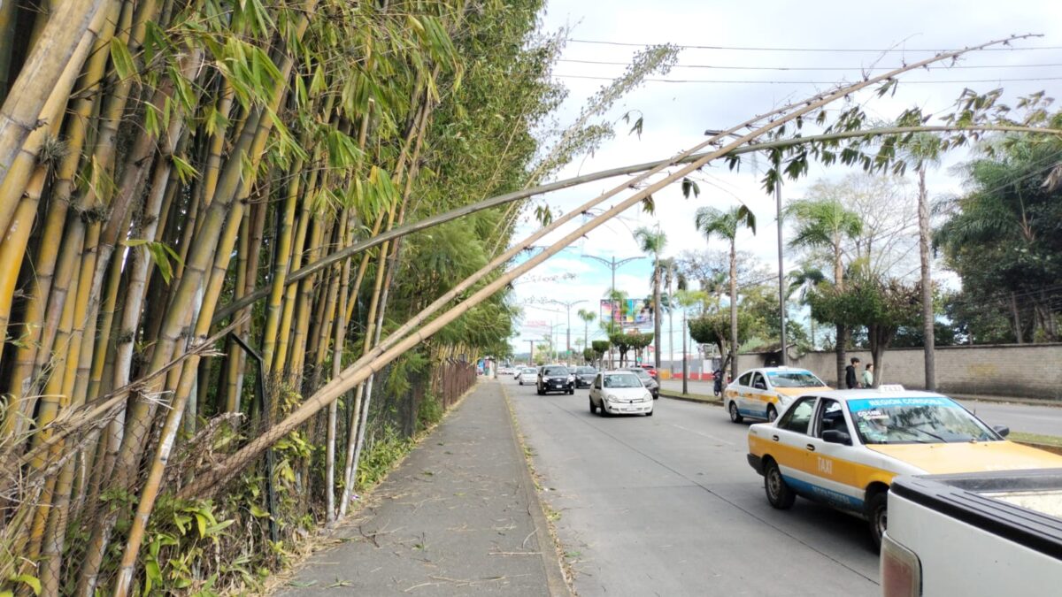 PC reporta sin daños por Surada en Córdoba
