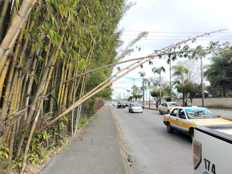 PC reporta sin daños por Surada en Córdoba